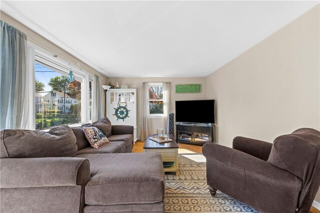 living room with wood finished floors and a wealth of natural light