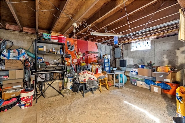 storage featuring electric panel