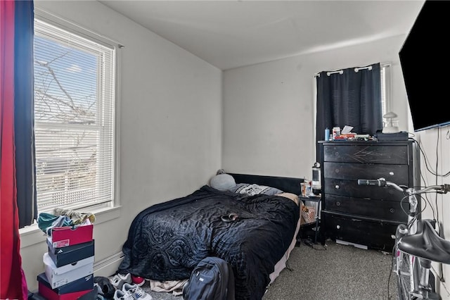 bedroom with carpet floors