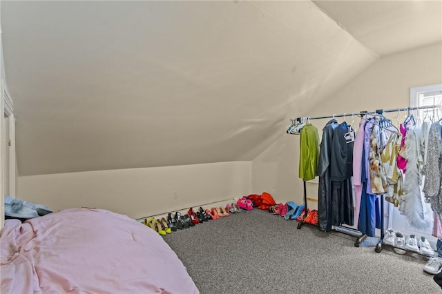 interior space with vaulted ceiling
