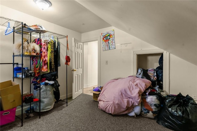 interior space with carpet
