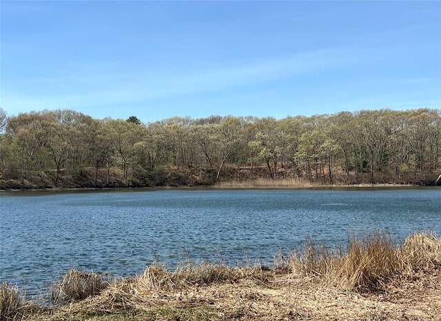 191 Canfield Ave, Warwick, RI 02889 - water view featuring a forest