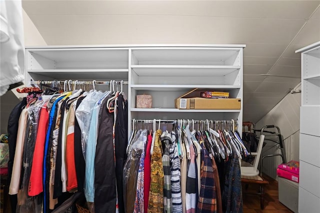view of walk in closet