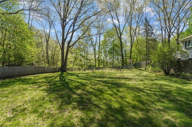 view of yard featuring a fenced backyard