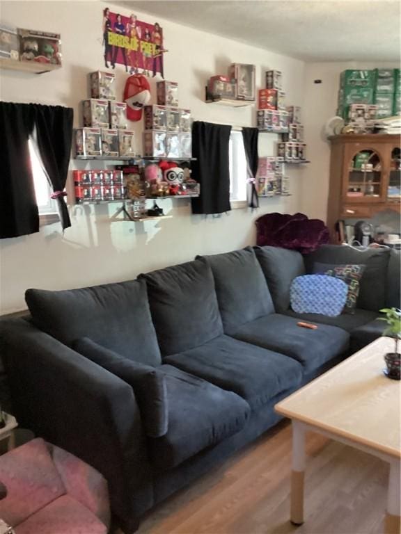 446 Carrington Ave, Woonsocket, RI 02895 - living area featuring wood finished floors
