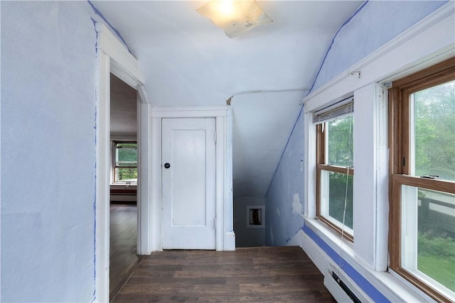 71 Centennial St, Burrillville, RI 02859 - additional living space featuring vaulted ceiling, wood finished floors, plenty of natural light, and a baseboard radiator