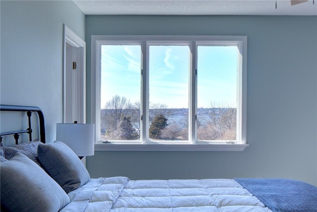 bedroom with multiple windows