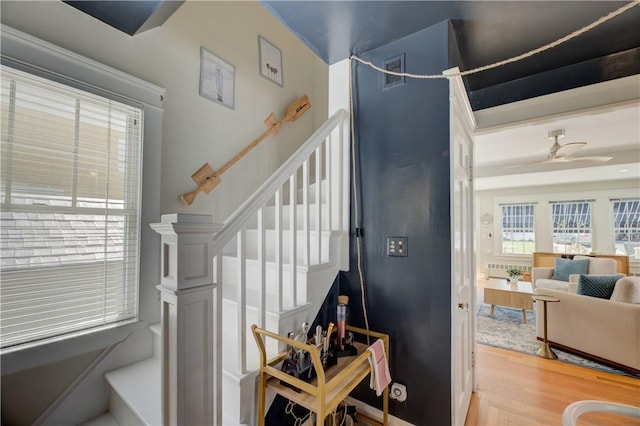 stairway featuring ceiling fan and wood finished floors