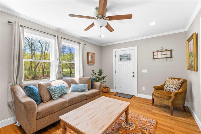 120 Columbia Heights Rd Unit 1, Charlestown, RI 02813 - living area with a ceiling fan, baseboards, ornamental molding, and light wood-type flooring