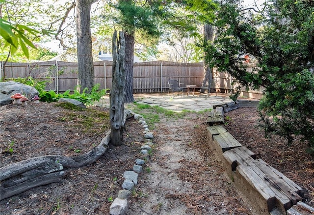 view of yard featuring a fenced backyard and a patio