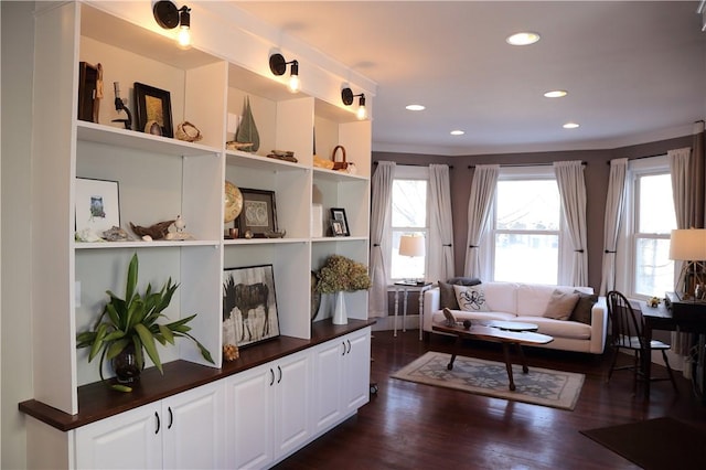 living room featuring recessed lighting and dark wood finished floors