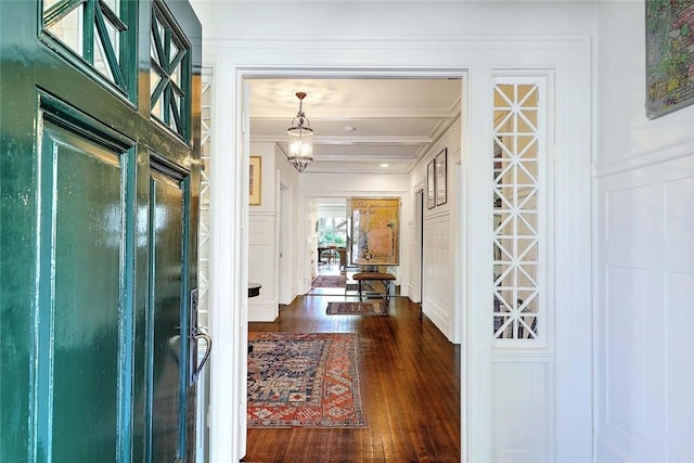 hallway featuring ornamental molding, a decorative wall, and dark wood-style floors