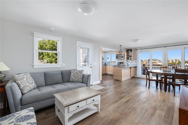 living area featuring wood finished floors