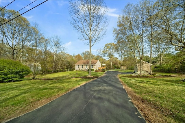 view of street featuring driveway