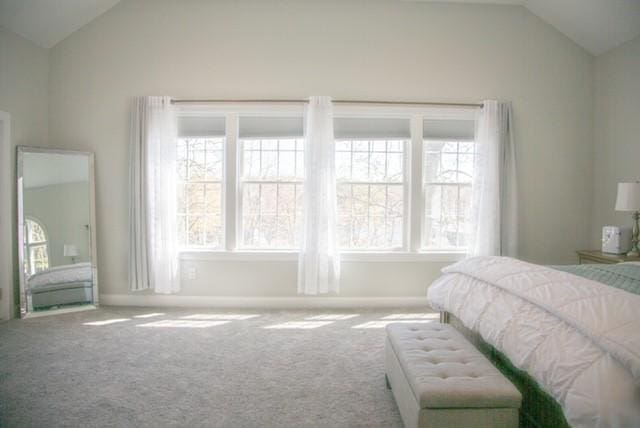 70 Shady Ln, Burrillville, RI 02859 - bedroom featuring vaulted ceiling, carpet floors, and baseboards