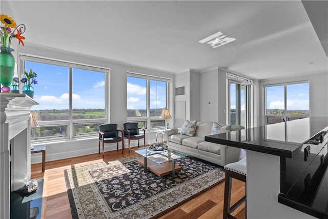 1 Tower Dr Unit 1502, Portsmouth, RI 02871 - living area featuring crown molding, a fireplace with flush hearth, and wood finished floors