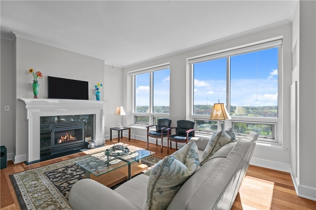 1 Tower Dr Unit 1502, Portsmouth, RI 02871 - living area with crown molding, baseboards, a fireplace with flush hearth, and wood finished floors