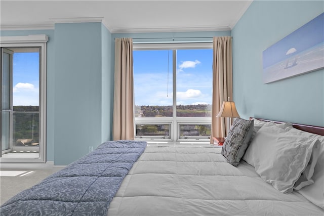 1 Tower Dr Unit 1502, Portsmouth, RI 02871 - bedroom with crown molding, carpet floors, and multiple windows