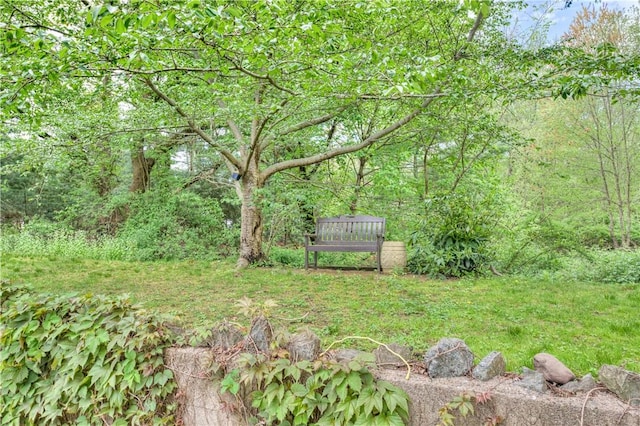 23 Pine Top Rd, Barrington, RI 02806 - view of yard featuring a view of trees