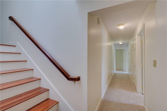 23 Pine Top Rd, Barrington, RI 02806 - stairs featuring carpet floors and baseboards