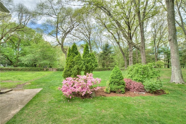 23 Pine Top Rd, Barrington, RI 02806 - view of green lawn