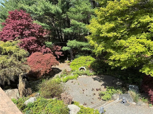 view of nature