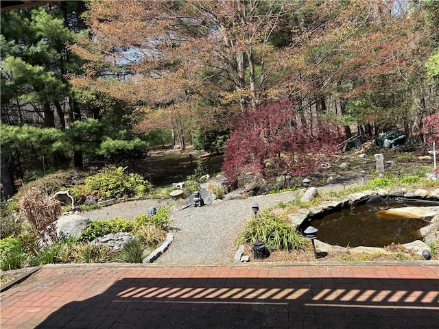 view of yard featuring a garden pond