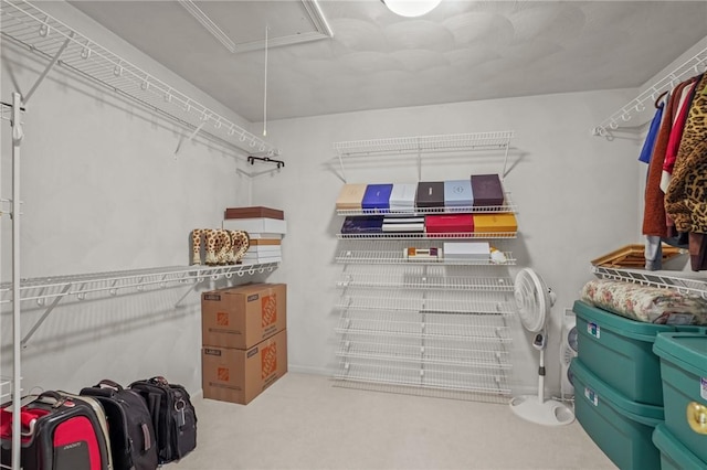 interior space