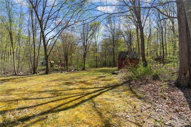 view of grassy yard with a wooded view