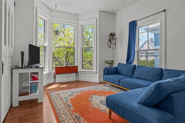 living area featuring wood finished floors and baseboards