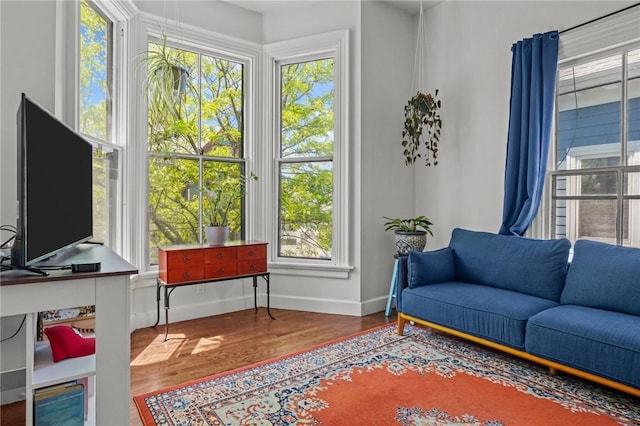 sitting room with baseboards, wood finished floors, and plenty of natural light
