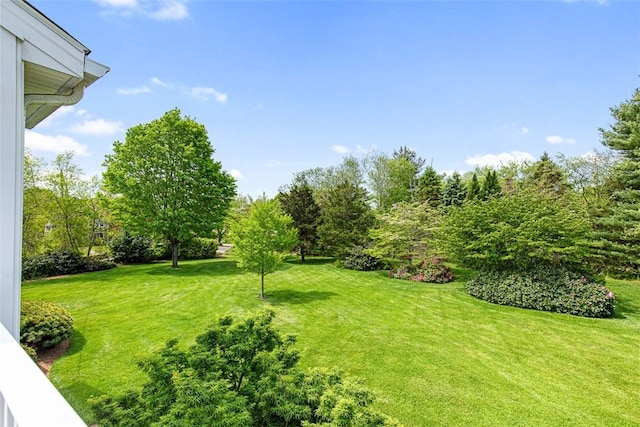 28 Potter Hill Rd, Westerly, RI 02891 - view of grassy yard