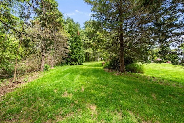28 Potter Hill Rd, Westerly, RI 02891 - view of grassy yard