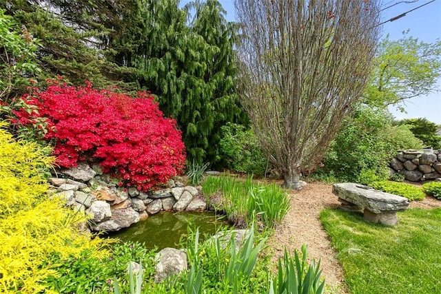 28 Potter Hill Rd, Westerly, RI 02891 - view of yard featuring a garden pond