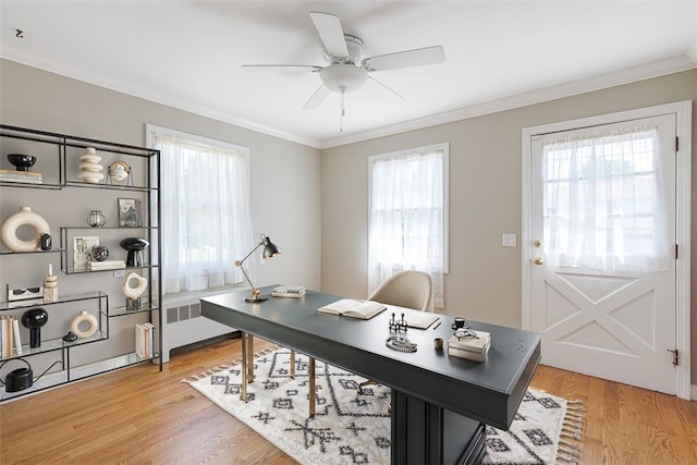 28 Potter Hill Rd, Westerly, RI 02891 - office featuring ornamental molding, ceiling fan, light wood-type flooring, and radiator