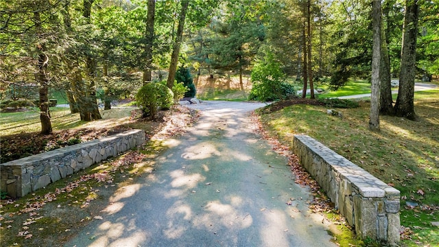 surrounding community with a view of trees and aphalt driveway