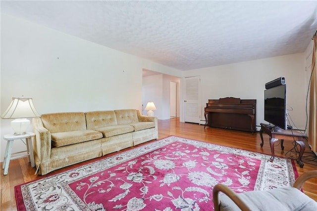 living area featuring a textured ceiling and wood finished floors