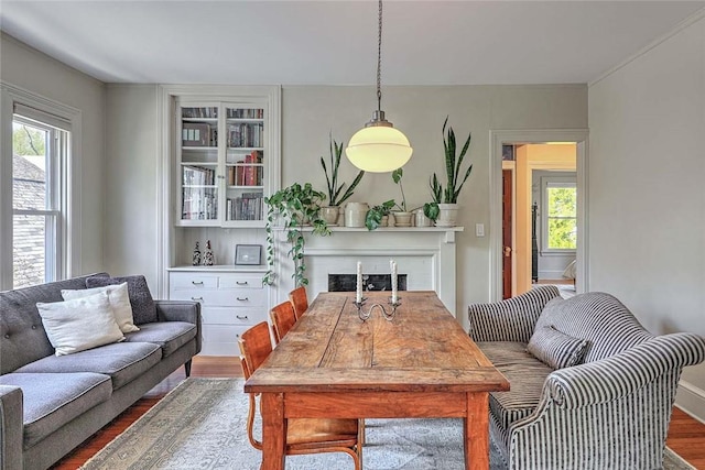 living area featuring a fireplace and wood finished floors