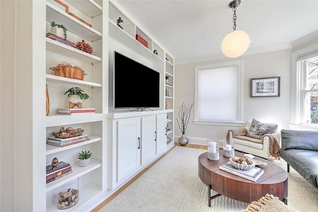 living room featuring wood finished floors, baseboards, and built in shelves