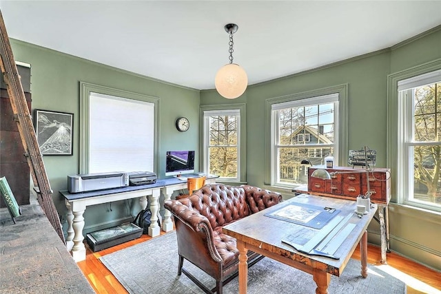 interior space with crown molding and wood finished floors
