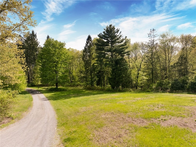 51 Mill Rd, Foster, RI 02825 - view of dirt / gravel road featuring a view of trees