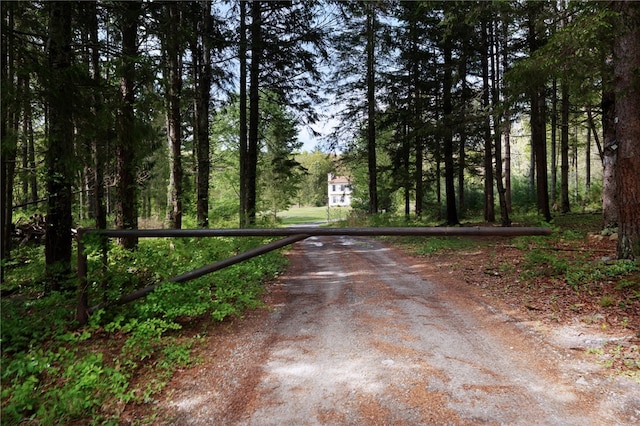 51 Mill Rd, Foster, RI 02825 - view of road