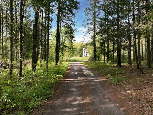 51 Mill Rd, Foster, RI 02825 - view of dirt / gravel road