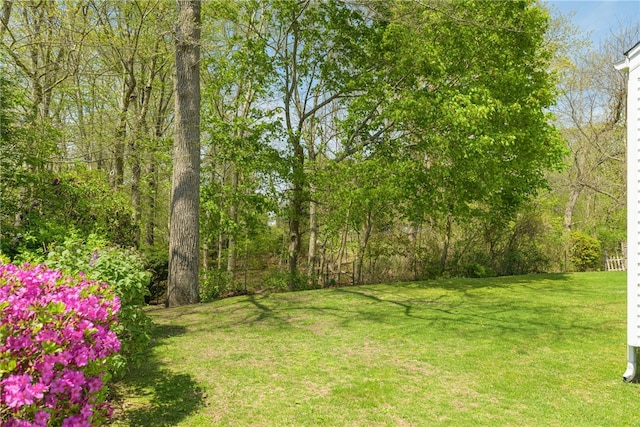 view of yard