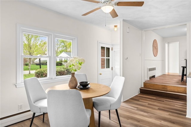 dining area with light wood-style floors, a wealth of natural light, a ceiling fan, and radiator heating unit