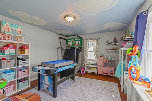 rec room with wood finished floors