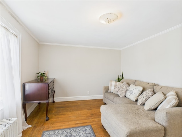 135 Cypress St, Providence, RI 02906 - living room with light wood finished floors, crown molding, baseboards, and radiator heating unit