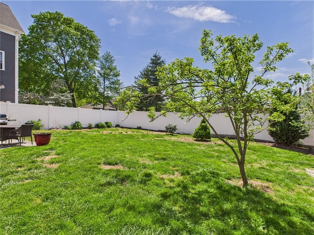 135 Cypress St, Providence, RI 02906 - view of yard with a patio and a fenced backyard