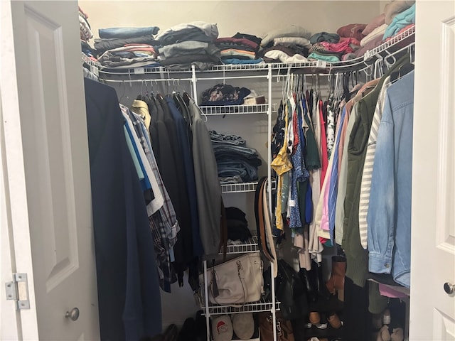 view of walk in closet