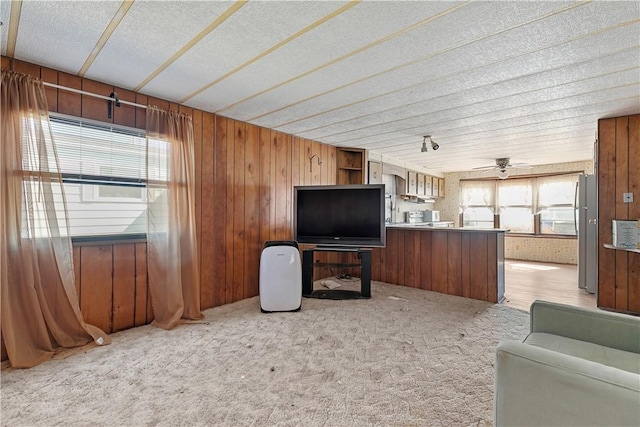 living room with light carpet and wooden walls